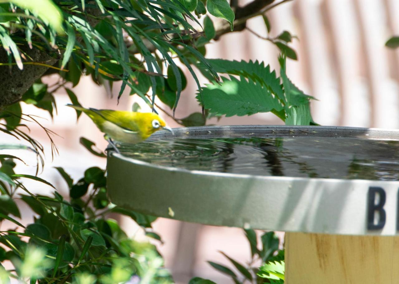 Bird Hotel 镰仓市 外观 照片